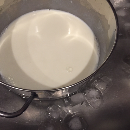 Homemade yogurt, chilling milk.