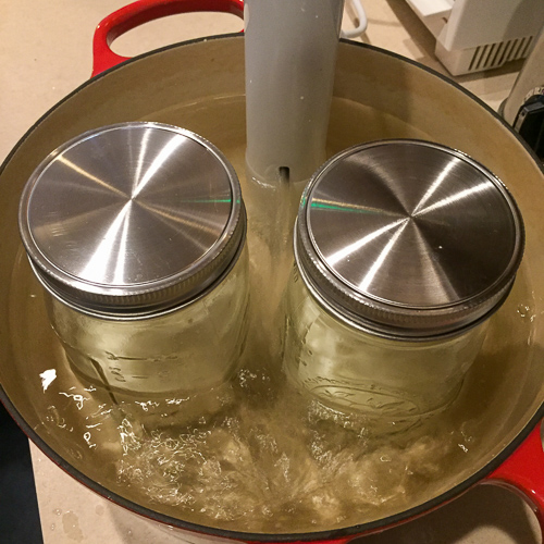Jars of milk and starter culture in sous vide for homemade yogurt.