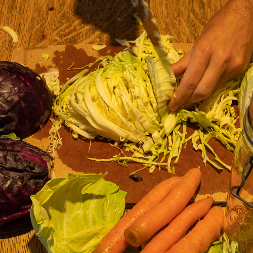 Sauerkraut chopping cabbages.
