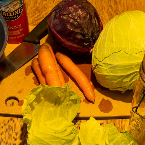 Sauerkraut ingredients, cabbages, carrots, salt.